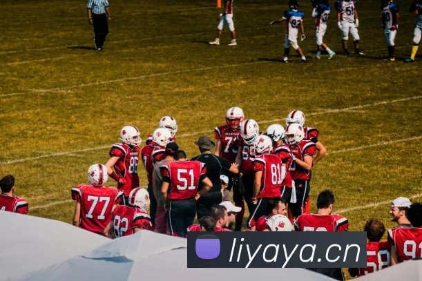 鸿运国际·(中国)会员登录入口平台生态图