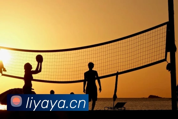 鸿运国际·(中国)会员登录入口APP 封面图